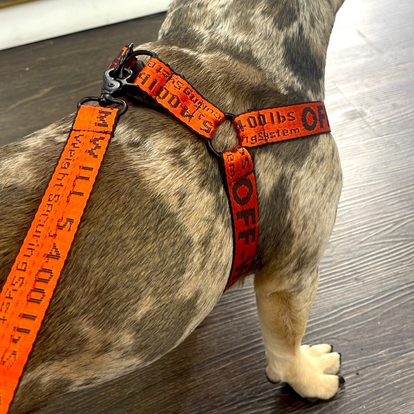 ⚡️Pet Accessories / Unlisted🐶🧸(Harness/Leash, 2pcs) - Picture 1 of 13